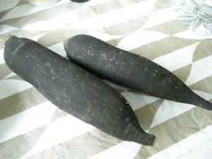 DSCN2565.jpg