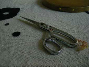 DSCN2696.jpg