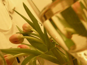 DSCN3559.jpg