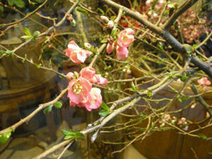 DSCN3833.jpg