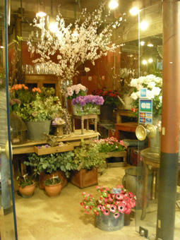 DSCN3835.jpg