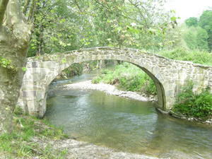 DSCN4326.jpg