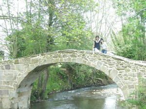 DSCN4329.jpg