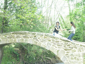 DSCN4330.jpg