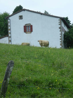 DSCN4375.jpg