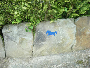 DSCN4381.jpg