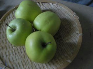 DSCN6271.jpg