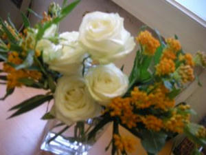 DSCN9135.jpg