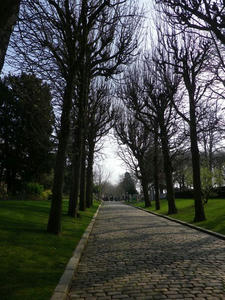 IMGP0269.jpg