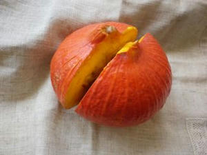 IMGP2687.jpg