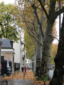 IMGP2848.jpg