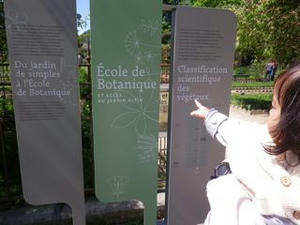 IMGP3912.jpg