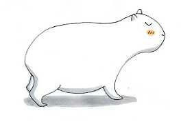 カピパラなにげなく