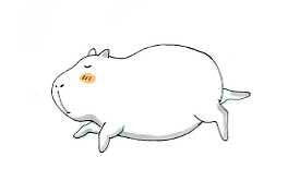 カピパラいねむり