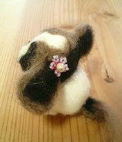 maru-back_1.jpg
