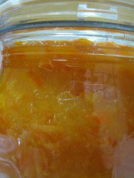 IMG_0516_1.JPG