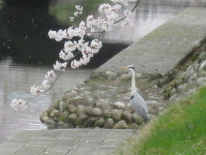 IMG_0601_1.JPG