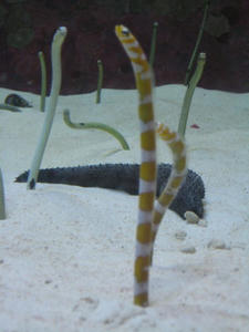IMG_0749_1.JPG