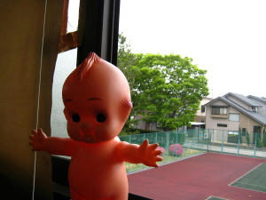 IMG_1567_1.JPG
