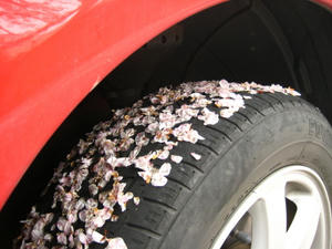 IMG_2589_1.JPG