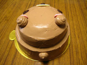 IMG_3235_1.JPG