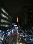 DCF_0262.JPG