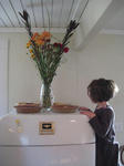 IMG_1931bl1.JPG
