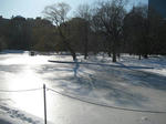IMG_2273bos.JPG