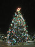IMG_2333bos.JPG