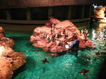 IMG_2338bos.JPG