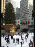 IMG_2437sh.JPG