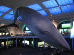 IMG_2498ny.JPG