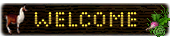 llama-welcome.png