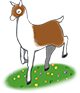 llama80x.png