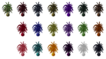 ponytail_palm.png