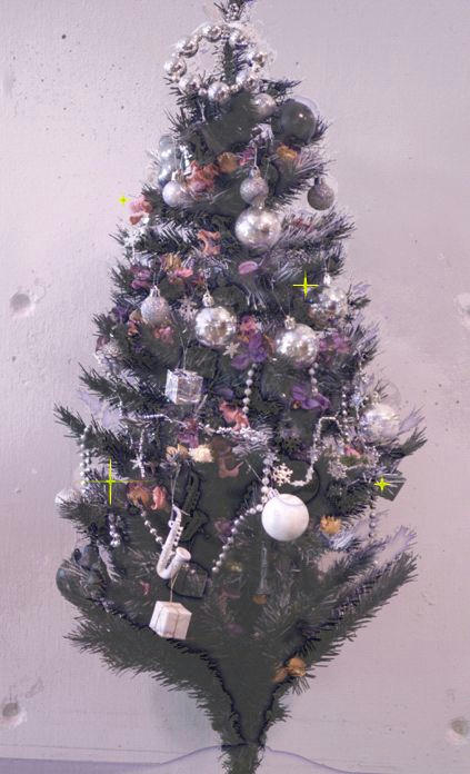 tree.jpg