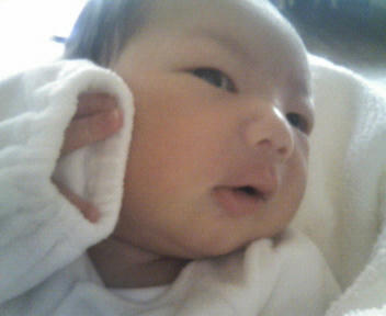 200803261503000.jpg