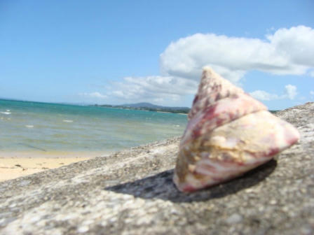 828b3d54.JPG