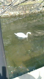 20100322141649.jpg