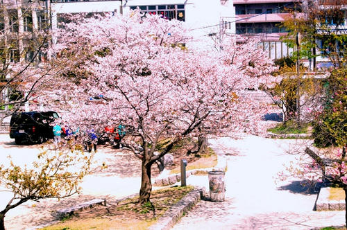 c53d20f7.JPG