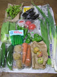 vege01.jpg