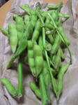 vege03.jpg