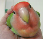 pet06082902.jpg