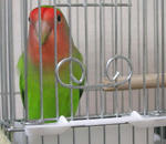 07010401.jpg