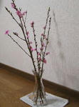 07030301.jpg