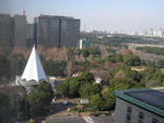 07122905.jpg