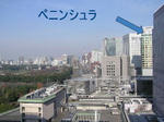 07122906.jpg