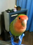 08060903.jpg