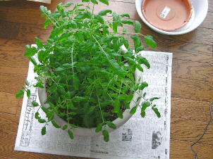 08061401.jpg
