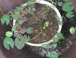 08062604.jpg